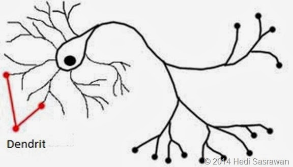 dendrit
