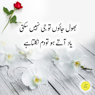 Sad Poetry in Urdu