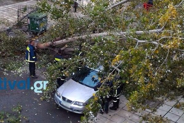 Δέντρο έπεσε πάνω σε οχήματα στον Εύοσμο