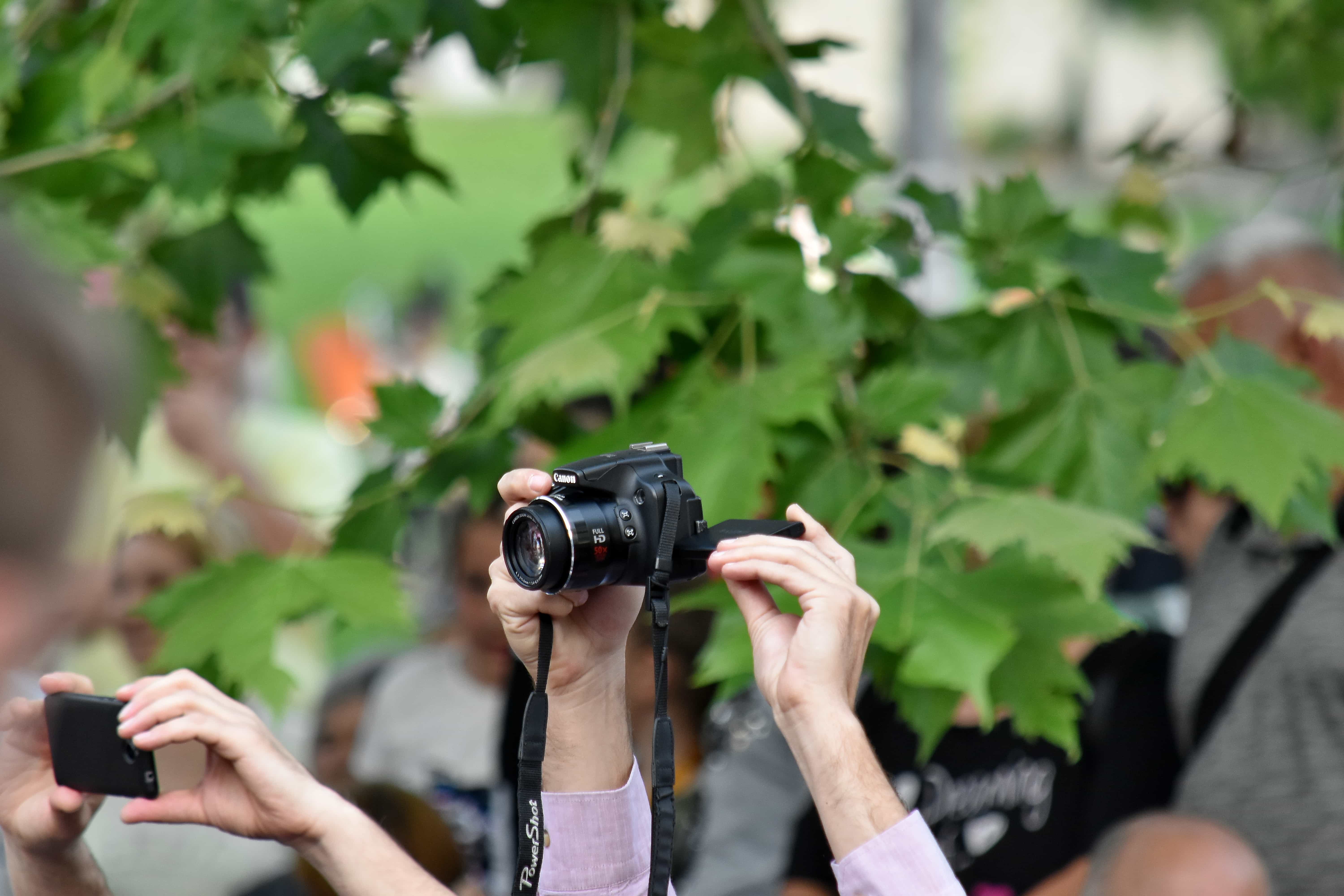 Фотограф сфотографировал террориста. Фотограф фотографирует природу. Лето в фокусе. Лето в объективе. Лето в фотообъективе туриста.