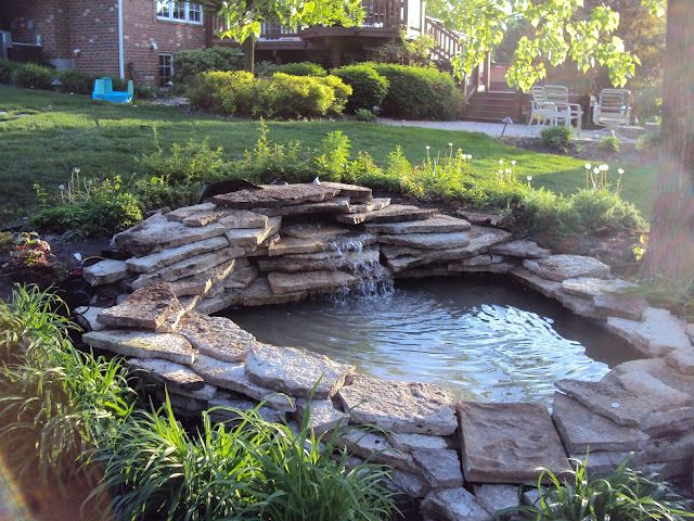 alluring back yard ponds simple water fall design lush natural stone line