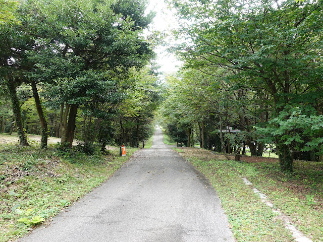 むきばんだ史跡公園の弥生の森