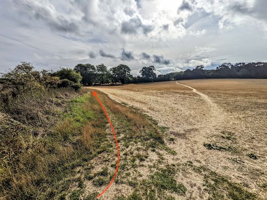 Turn left at the junction on Walkern footpath 13