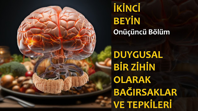 Duygusal Bir Zihin Olarak Bağırsaklar ve Tepkileri / İkinci Beyin Sesli Kitap 13