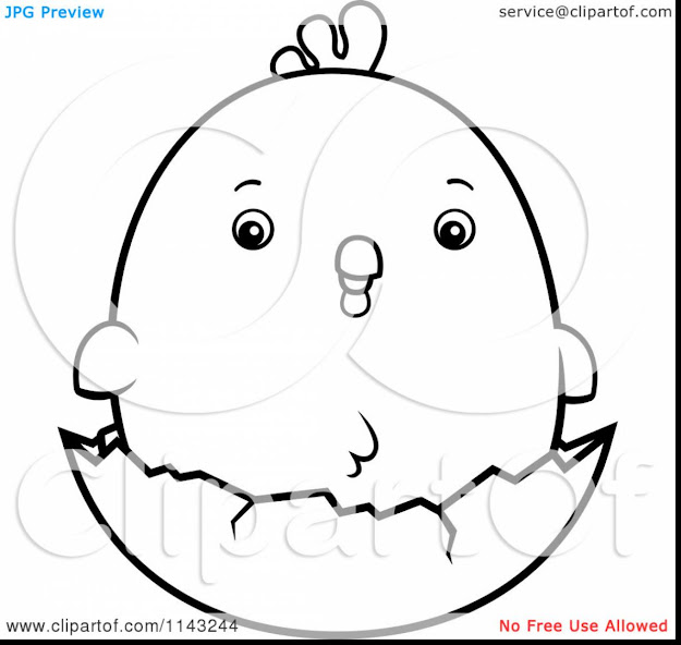 Awesome Black And White Sea Shell Coloring Pages With Seashell Coloring  Pages And Seashell Coloring Pages