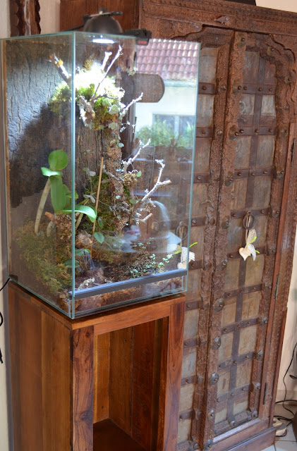 EHEIM Terrarium mit Säule aus Recycling