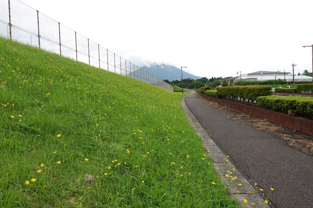 伯耆町総合スポーツ公園