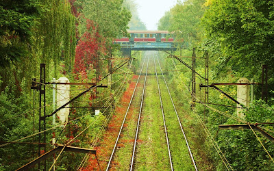 Paisaje de las vias de un tren 