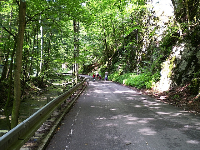 Road to Caves of Moravian Karst, Czech Republic