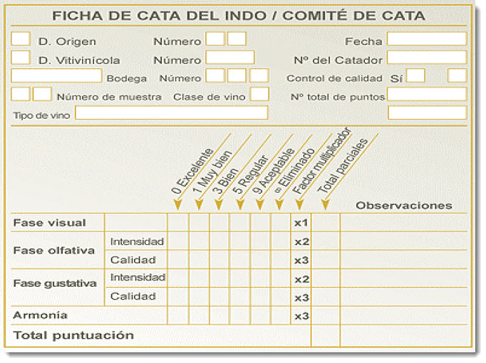 Ficha de cata de vino