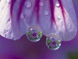 See the world in two drops -Nice photo