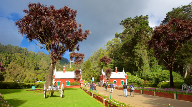 Botanical Garden of the Government ooty