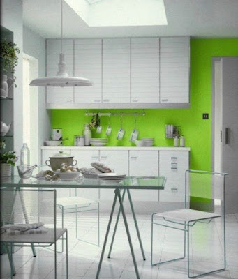 Kitchen color ideas pretty clean and minimalistic