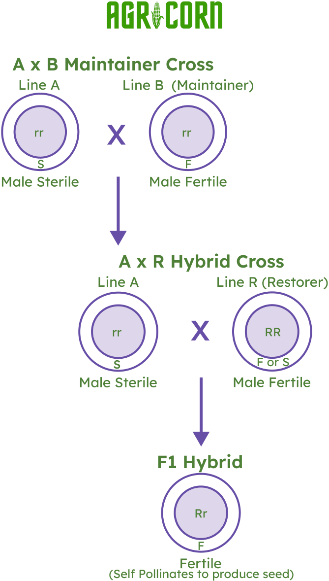 Line Development (ABR System)