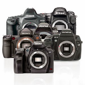 3 Steps to Buying Your First Digital Camera