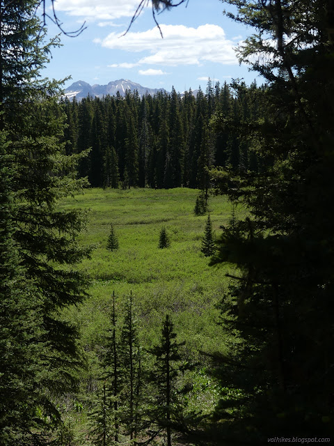 02: large meadow with mountain peak peeking over the top of the trees at the end