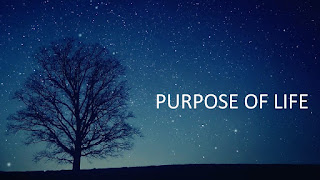 importance+of+purpose+in+life