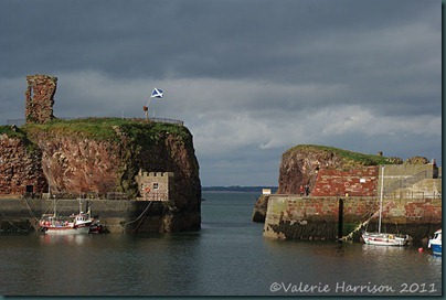 22-harbour