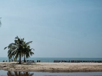 DSCF6093