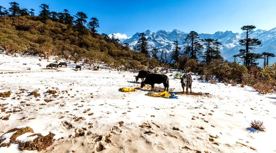 Khangchendzonga National Park