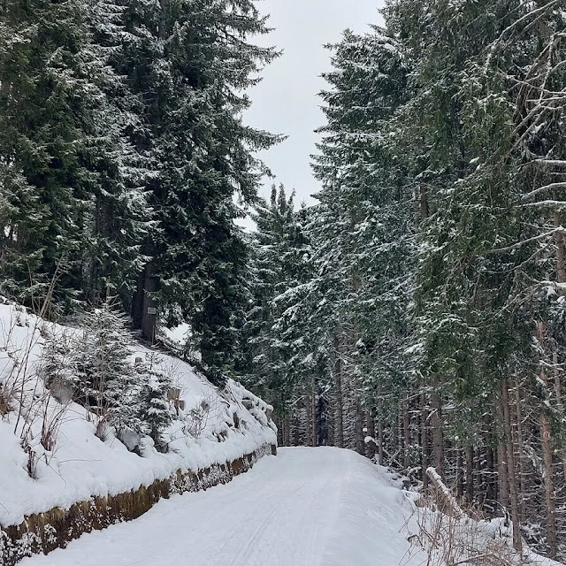 rifugio de doo inverno neve come arrivare