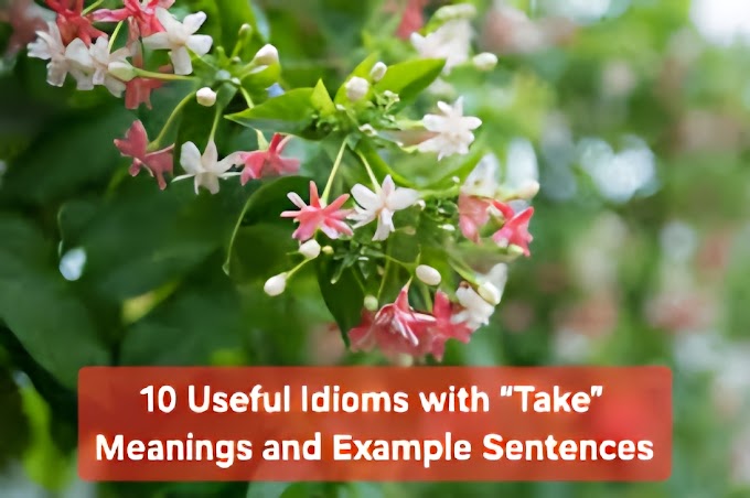 10-common-take-idioms-meanings-sentences-2