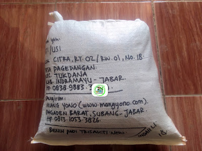Benih padi yang dibeli  TATI Indramayu, Jabar. (Setelah packing karung ).