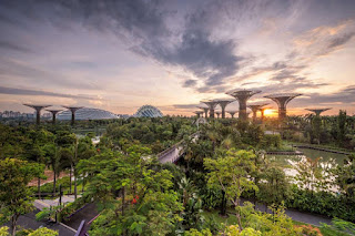 Sustainable Living and Travel Green Singapore