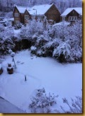 Winter 2015 030