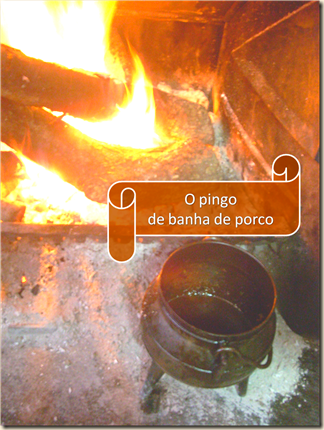 o pingo