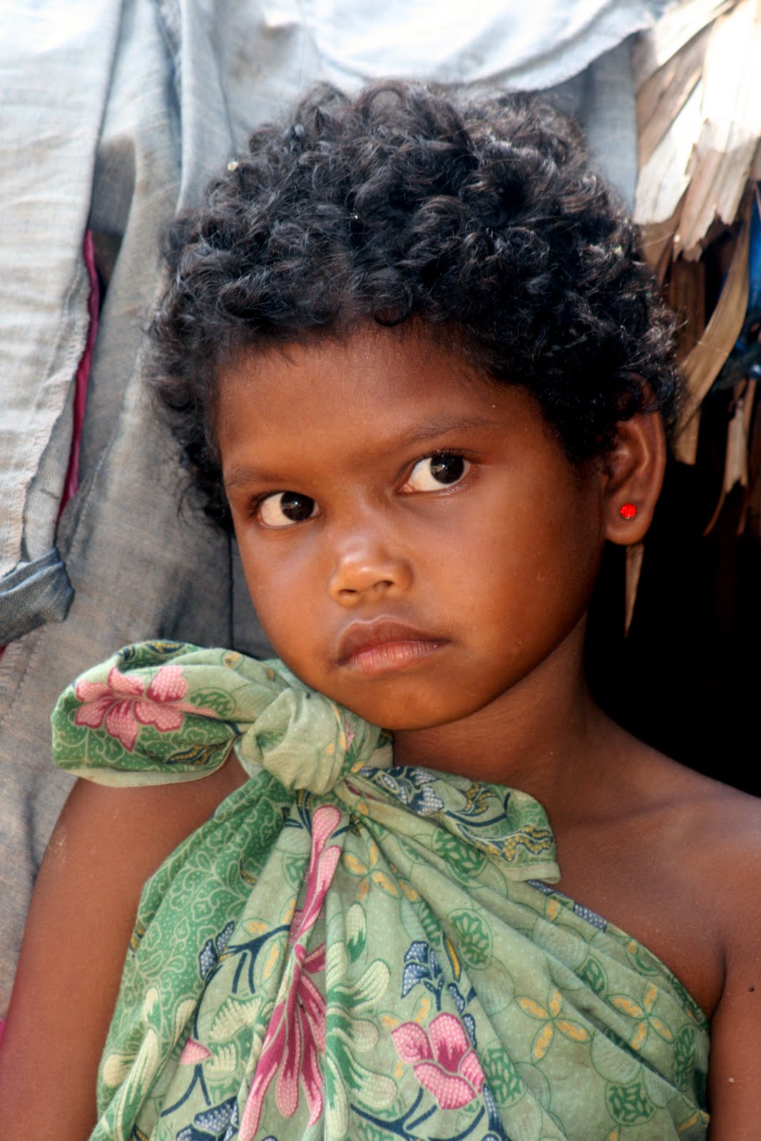 the tricky traveler Meeting the Orang  Asli  Taman Nagara 