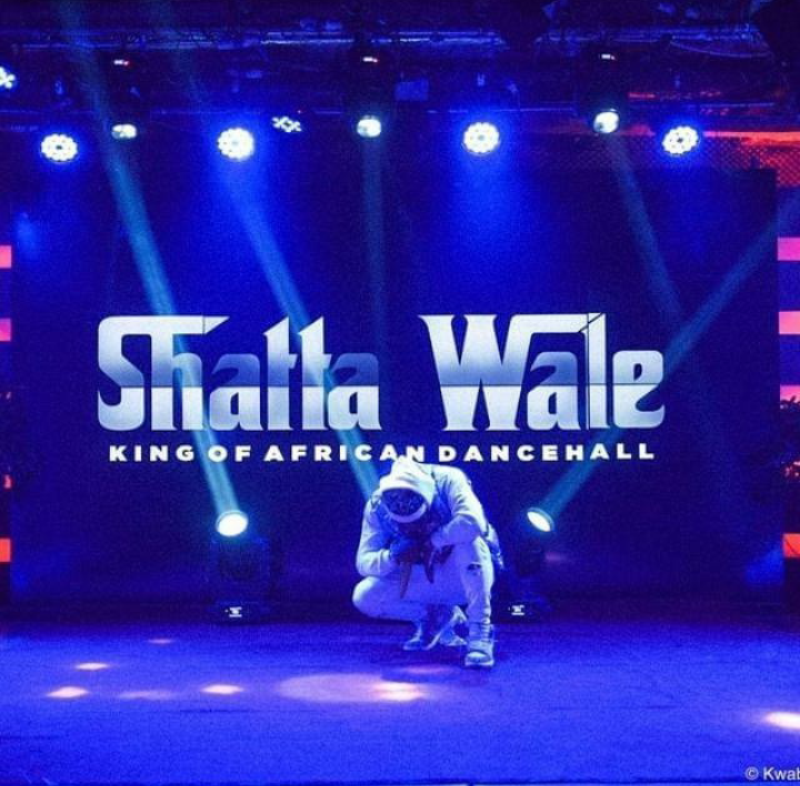 Dancehall King Of Ghana Shatta Wale