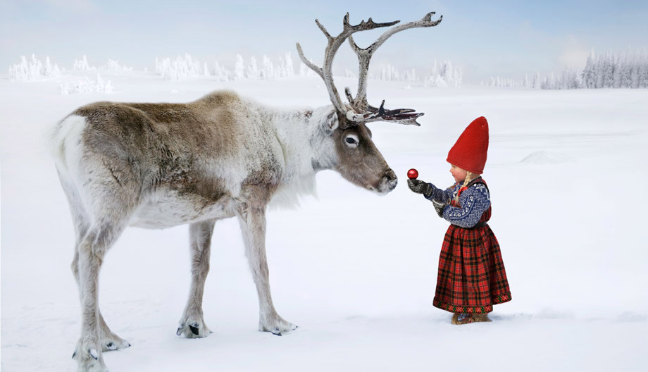 The Reindeer Wish Wish Series