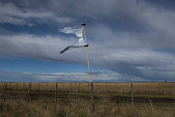bandera argentina rota y gastada flameando en un campo a la vera de un camino rural