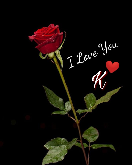 A to Z Alphabets Red Rose HD Pic with I Love U Download