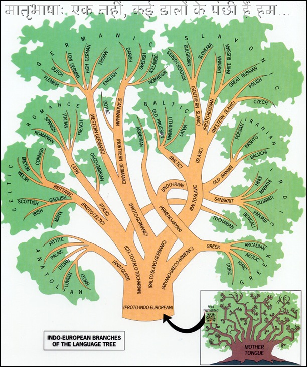 Indoeuropean language family tree