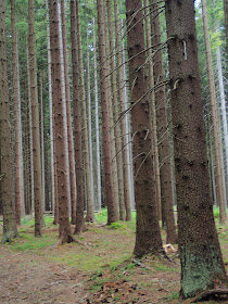 wakacje 2019, wakacje na Orawie, Mała Lipnica