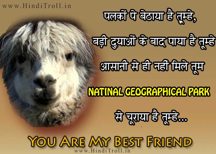 FUNNY HINDI COMMENTS/QUOTES WALLPAPER ON FRIENDSHIP jpg (700x500)