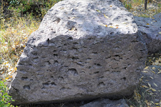 Glacial Boulder - Grand Teton National Park