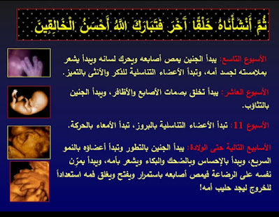 رحله مذهله مع خلق الانسان