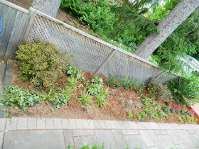 Humewood Toronto backyard garden makeover after Paul Jung Gardening Services