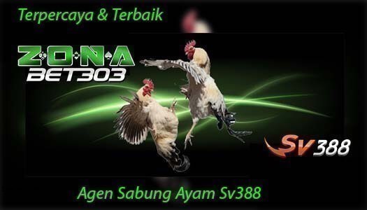 Game Sabung Ayam Sv388 Judi Ayam Online Terpercaya