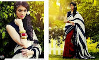 Two-Shaded-Saree-Designs