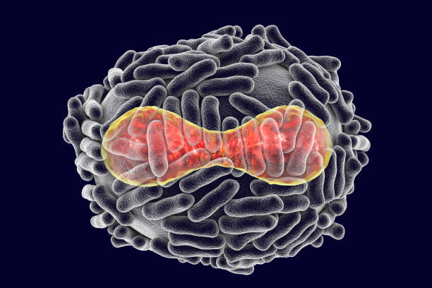 Ilustração do vírus da varíola