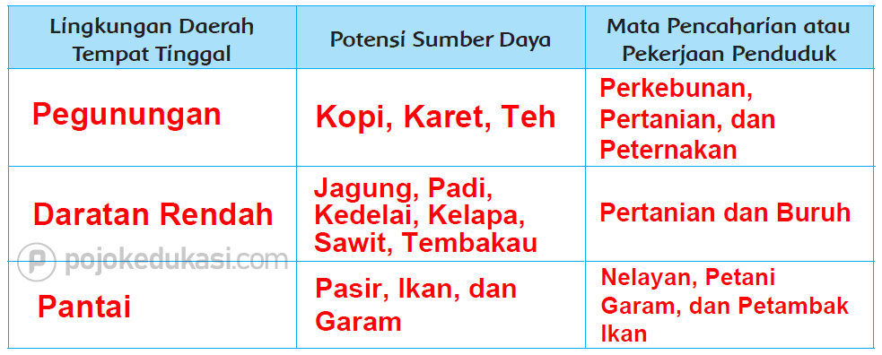 Kunci Jawaban Halaman 25, 27, 28, 29, 30, 31, 32 Tema 6 Kelas 4