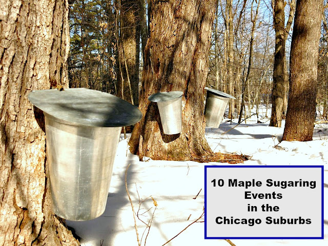 Maple sugaring