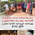 സ്വാതന്ത്യദിനം സേവന ദിനമായി ആചരിച്ച്  പ്ലാച്ചിക്കരയിലെ ഒരു കൂട്ടം യുവാക്കൾ പ്ലാച്ചിക്കര മുതൽ നരമ്പച്ചേരി വരെയുള്ള  റോഡ് ക്ലീൻ