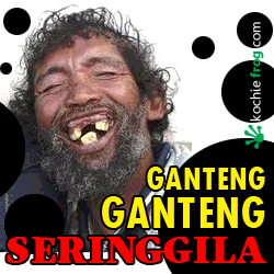 Sticker Gambar DP LUCU Terbaru Bikin NGAKAK - Kochie Frog
