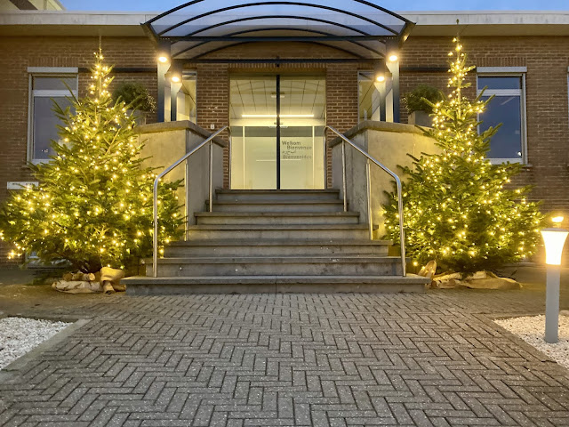 Kerstbomenverhuur , kerstbomen huren of kopen voor bedrijven, kantoor beurs event in België Limburg Vlaams-Brabant Antwerpen Brussel Gent Hasselt Leuven Genk Lummen Beringen Geel Haasrode Woluwe