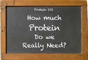 Things we need to know about the ideal protein diet plan